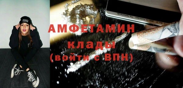 молекула духа Богородск