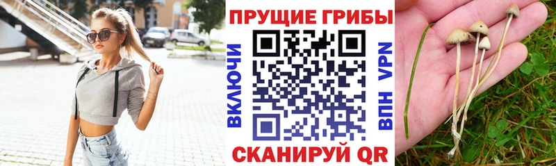 Псилоцибиновые грибы MAGIC MUSHROOMS  Купить закладки  Мамадыш 